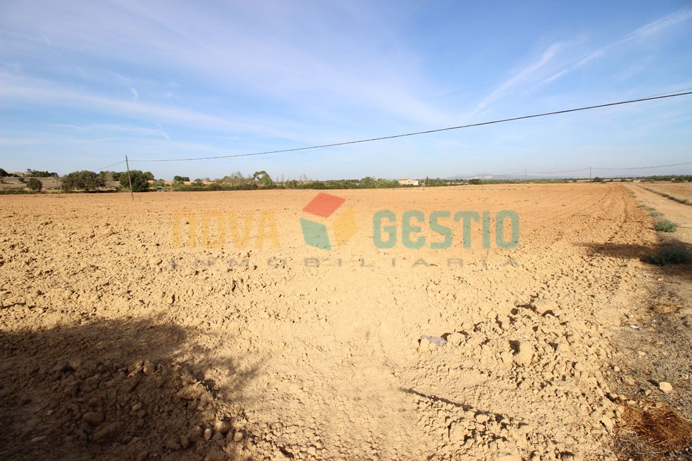 Terreno edificable en venta en Felanitx : : TE402FE-VES