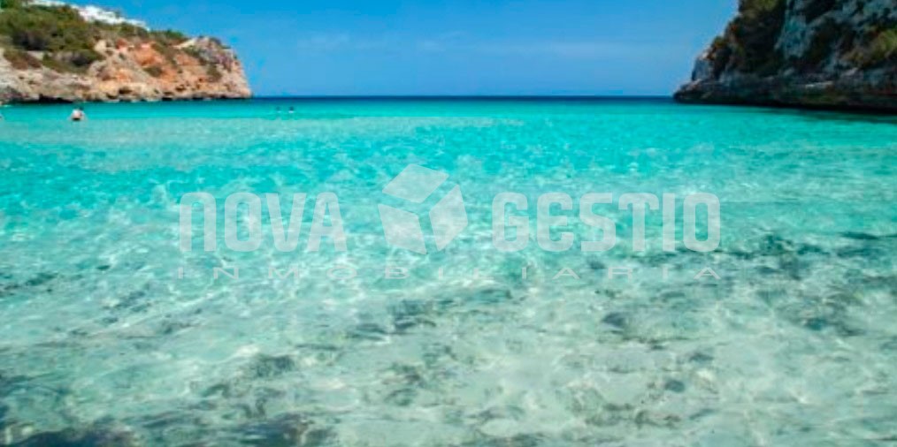 Duplex en alquiler en Cala Mendia : : DP1677CAME-AES