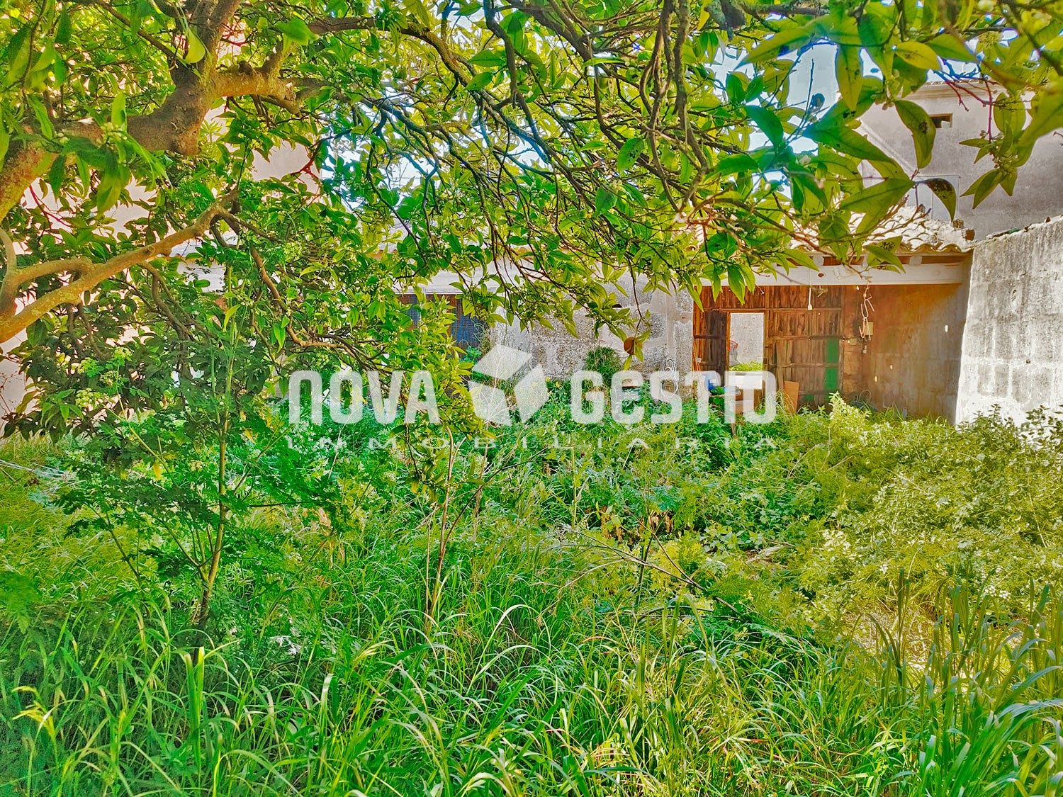 Solar urbano en venta en Porreras : : SO1763PO-VES