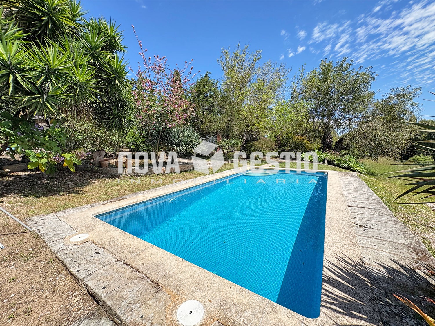 Casa rústica en alquiler en Manacor : : FR1894MA-AES