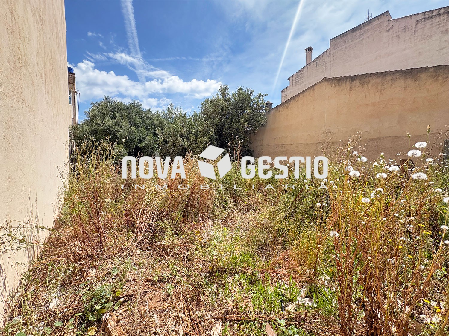 Grundstück zum Verkauf in Porto Cristo : : SO1861PC-VDE