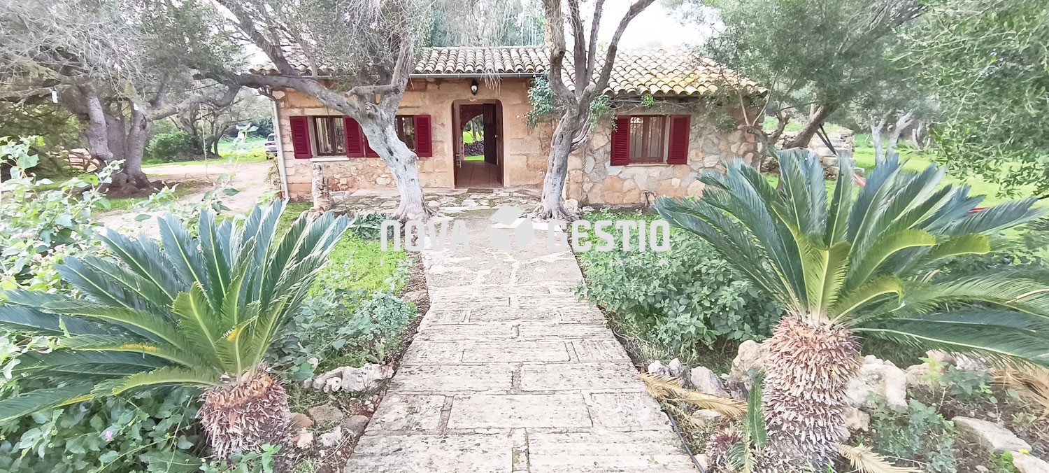 Finca rústica en alquiler en Manacor : : FR1352MSA-AES