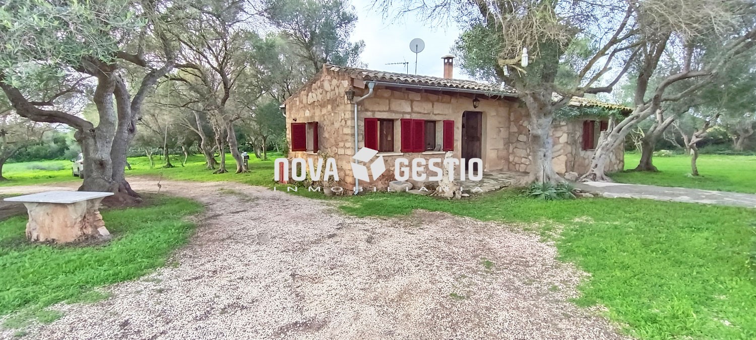 Finca rústica en alquiler en Manacor : : FR1352MSA-AES