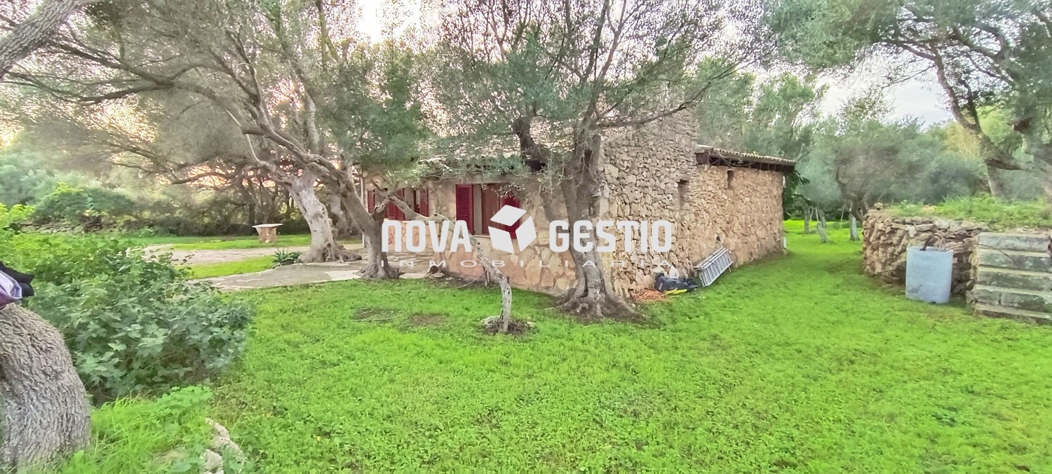 Finca rústica en alquiler en Manacor : : FR1352MSA-AES