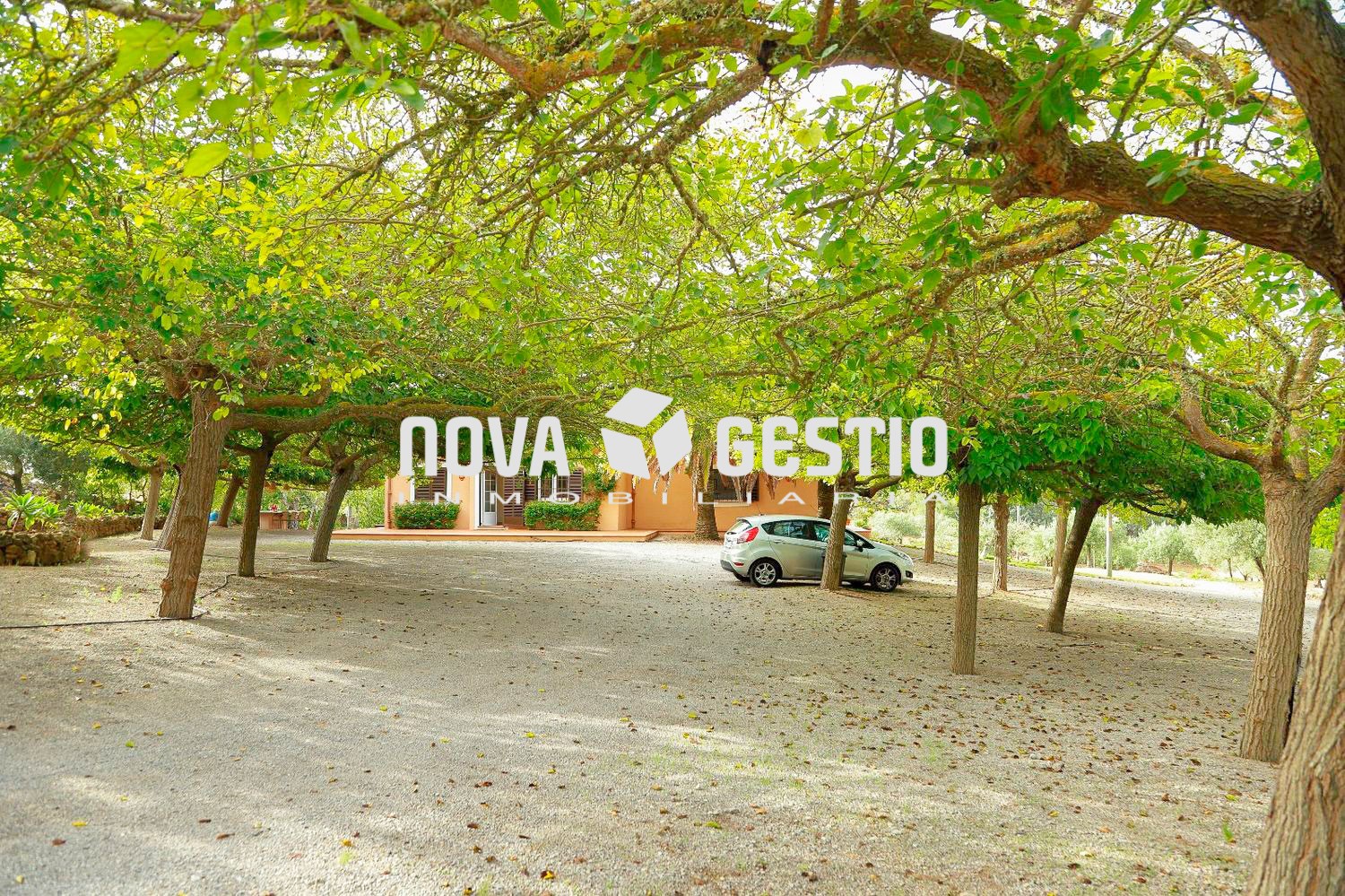 Finca rústica en alquiler en Porto Cristo : : FR1905PC-AES