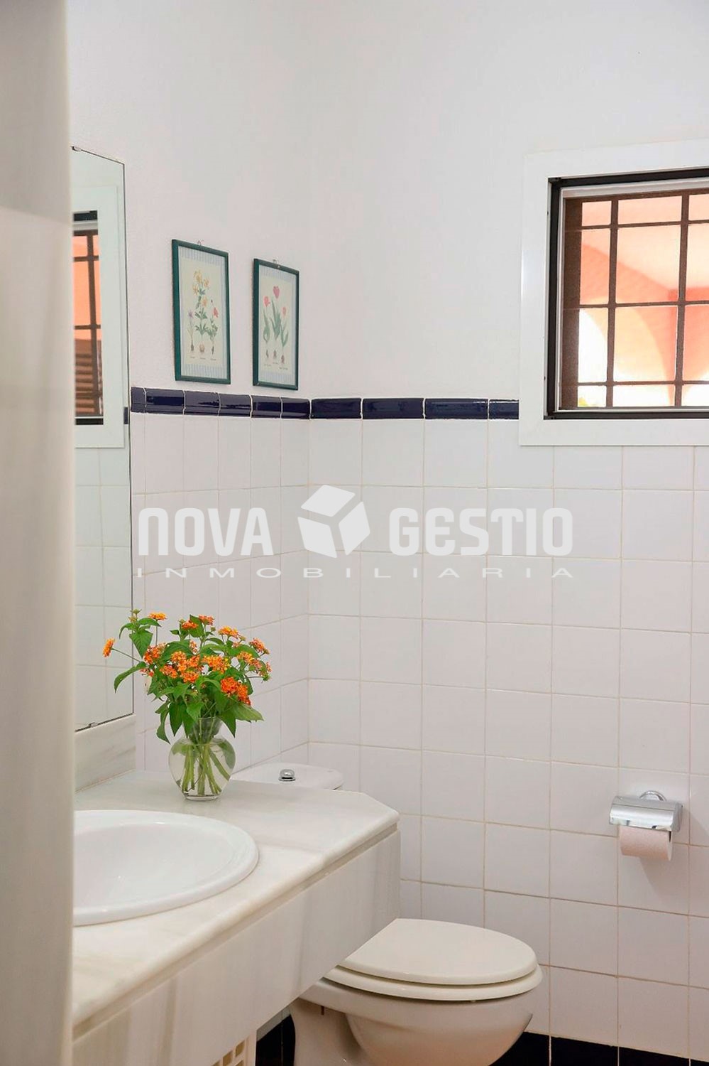 Finca rústica en alquiler en Porto Cristo : : FR1905PC-AES
