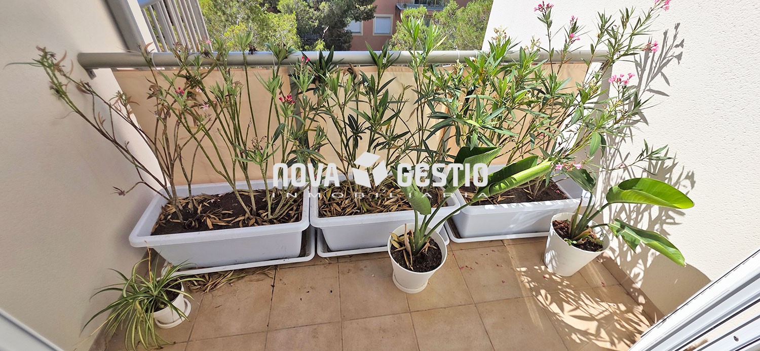 Piso en alquiler en Porto Cristo : : PI1908PC-AES