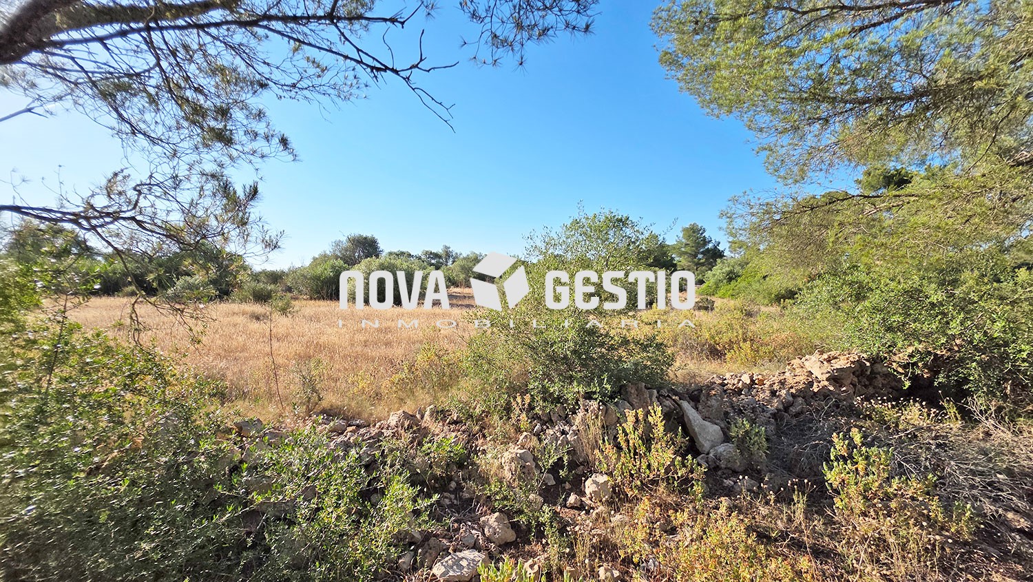Grundstücke zum Verkauf in Algaida : : TE1897ALG-VDE