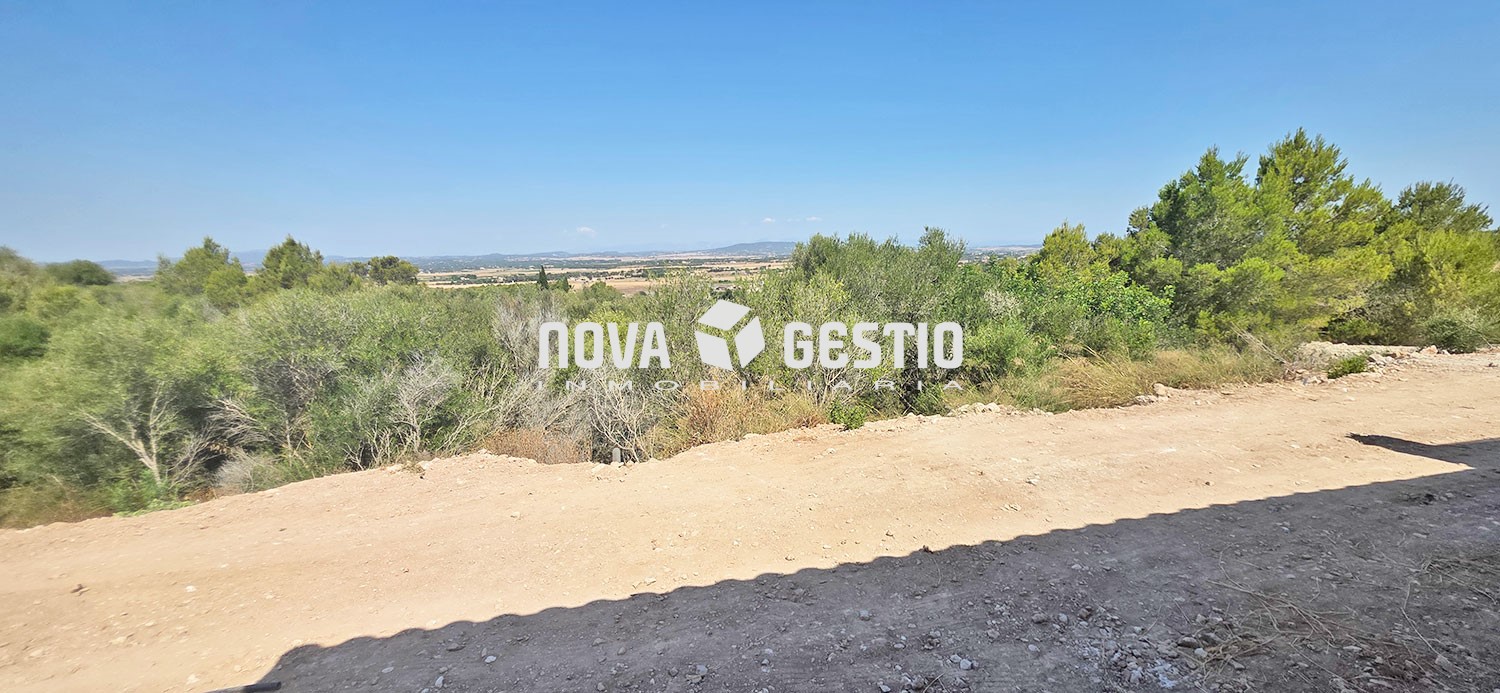 Finca Rústica obra nueva en venta en Manacor : : FR1910MA-VES